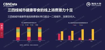 中國市場與互聯網數據資訊中心——199IT在互聯網數據服務中的角色